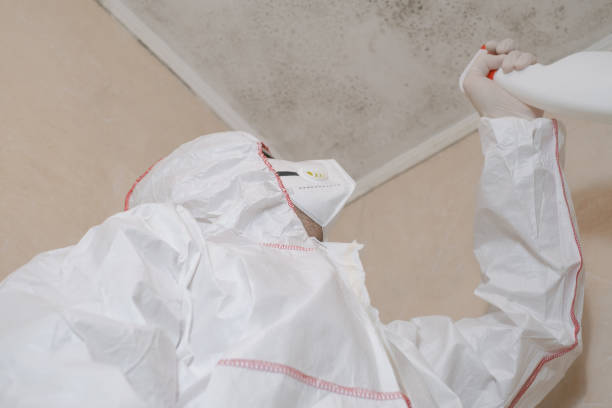 Best Kitchen Mold Remediation in Sorrento, LA